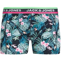 JACMIAMI Trunk SN