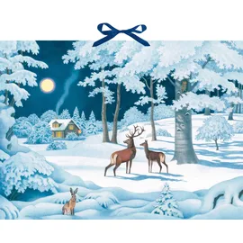 Coppenrath Verlag Wand-Adventskalender Wintertiere bei Nacht