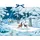 Coppenrath Verlag Wand-Adventskalender Wintertiere bei Nacht