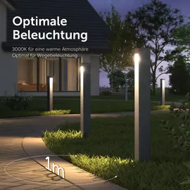 doporro Wegeleuchte Aluminium Edelstahl Glas 6x6x60 cm 5W LED grau