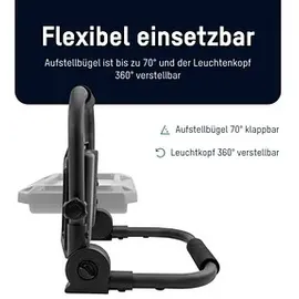 Ansmann FL50W-R 50 W