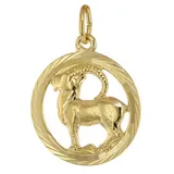 trendor 39000-01 Sternzeichen Steinbock 333 Gold Anhänger Ø 16 mm