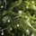 buttinette LED-Lichterkette 5 m warmweiß