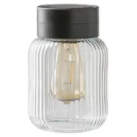 Dehner Solar-Glas Rania