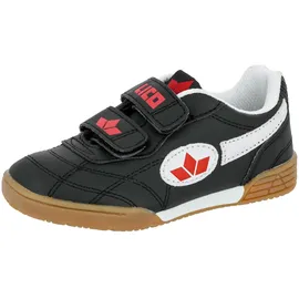 LICO Bernie V Schwarz 29
