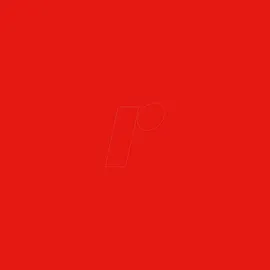 plottiX Vinylfolie 1 Rolle 31,5 cm x 1 m Rot