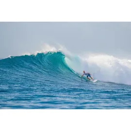 Torq Surfboard Epoxy TET 9,0 Longboard Pinlines weiß