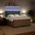 vidaXL Boxspringbett 180 x 200 cm Hellgrau