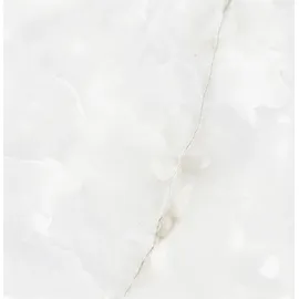 Euro Stone Bodenfliese Feinsteinzeug Bianco Christal 120 x 120 cm 2 St.