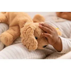 Steiff Soft Cuddly Friends Floppy Lumpi Hund 20 cm Braun