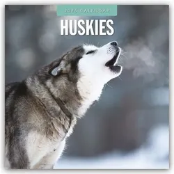 Huskies – Husky – Huskys 2025 – 16-Monatskalender