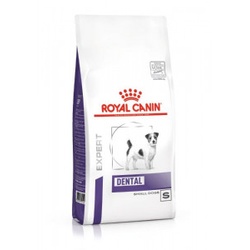 Royal Canin Expert Dental Small Dogs Hundefutter 3 x 3,5 kg