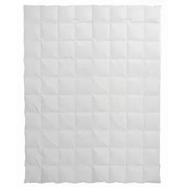 Centa-Star Sommerbettdecke Golf von Alaska 135 x 200 cm Baumwolle Braun Sahara