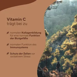 True Nature True Nature® Pinienrindenextrakt Kapseln mit Vitamin C - Vegan & Made in Germany 180 St
