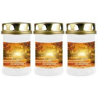 HS Candle Grabkerze GK-04210 (3-tlg), Grabkerze Brenndauer 48 Stunden mit Motiven