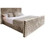 kaiser möbel Boxspringbett 180 x 200 cm H3 Hellbraun