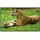 Papermoon Infrarotheizung »EcoHeat - Tiger mit Baby«, Matt-Effekt - bunt