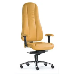 SITWELL Dynamik L Hochlehner - Luxus Chefsessel