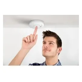 Alecto SA-19-5 Ruachmelder