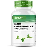 Vit4ever Cissus Quadrangularis Kapseln 180 St.