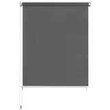 vidaXL Außenrollo 160 x 230 cm Anthrazit