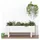 vidaXL Hochbeet 101 x 30 x 38 cm Weiß