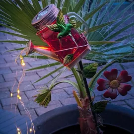 MARELIDA LED Solar Gießkanne Lichterkette Glas H: 80cm inkl. Kolibri rot