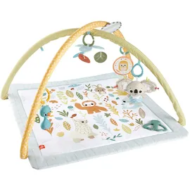 Mattel Fisher-Price Simply Senses Newborn Gym HRB15