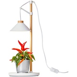 NORTHPOINT LED Pflanzenleuchte Kräutergarten Tischlampe aus Echtholz 9W 550 Lumen Höhenverstellbar Timer