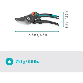 Pro Frisches Holz (12251)