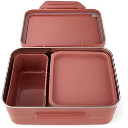 satch Schulzubehör Edelstahl-Brotdose Nordic Coral