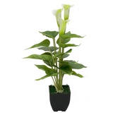 Europalms Calla mini, weiß, 43cm