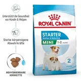 Royal Canin Mini Starter Mother & Babydog Hundefutter trocken