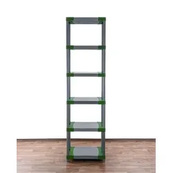 PROREGAL Kunststoffregal BIG GREY BEAR Extra-Tall, HxBxT 220x80x46cm, Fachlast 160kg, Grau-Grün Kunststoff-Regal Euro-Regal Stecksystem Lagerregal