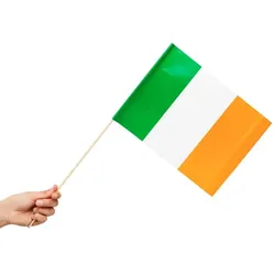 10 Papier Fahnen Irland 20 x 30 cm Handfahnen