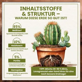 GREEN HOME LOVE NATURE Kakteenerde 72 l