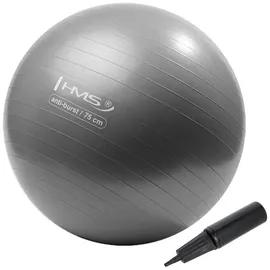 HMS Gymnastikball Grau 75 cm