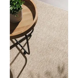 benuta Outdoorteppich, Taupe, Kunststoff, Rechteckig, 300x400 cm wasserabweisend, Teppiche & Böden, Teppiche, Outdoorteppiche
