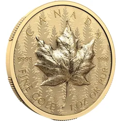 Kanada 2024: Goldmünze "Maple Leaf 2024" - 1 Unze - Ultra-Hochrelief