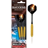 BULL'S Success Steel Dart 22 g)