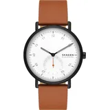 Skagen Kuppel