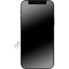 Apple iPhone 12 256 GB Schwarz