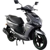 Alpha Motors Powermax 50 ccm 3,0 PS 45 km/h Grau