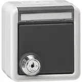 Gira Steckdose 456930 Grau