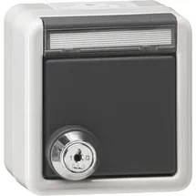 Gira Steckdose 456930 Grau