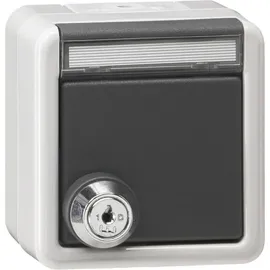 Gira Steckdose 456930 Grau