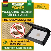 green guardia Wollkrautblütenkäfer Falle Pheromonfalle 3 St.
