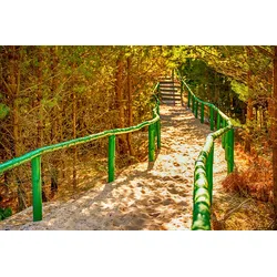 Fototapete PAPERMOON "Waldweg", bunt, B:3,50m L:2,60m, Vlies, Tapeten