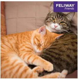 Ceva Feliway Friends Nachfüllflakon