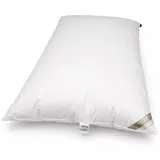 Betten Hofmann Bella Star Oberbett Federbett Ballonbett Winterbett 155x220 cm 3000 g warm